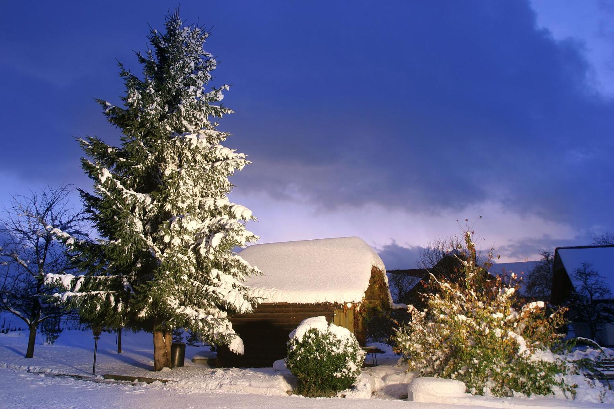 Gasthof Neuwirt ออยเกนดอร์ฟ ภายนอก รูปภาพ